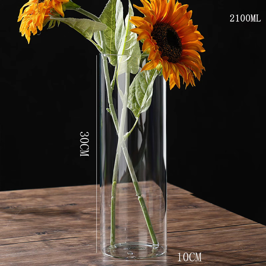 Moderne hydroponische Zylinder-Blumenvase aus Glas in Transparent für Home Office und Hochzeitsdekoration, Höhe: 10,0 cm, Durchmesser: 5,5 cm - Bild 2
