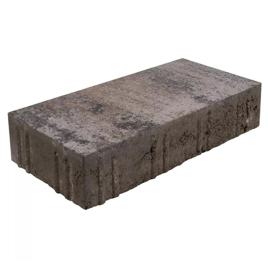EHL Pflaster Veria Muschelkalk in Beige und Braun für Garten und Terrasse B/T/H: 60 x 30 x 8 cm - Bild 2