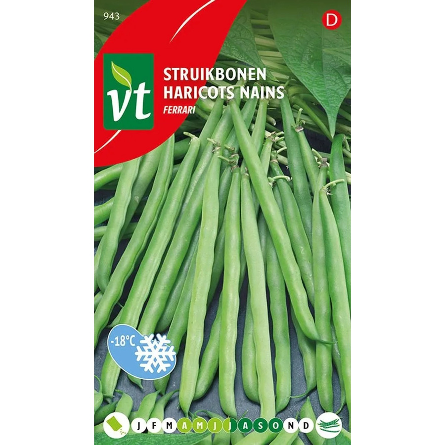 Arborix Grüne Bohne Ferrari Samen für hohen Bohnenertrag, 50 g - Bild 2