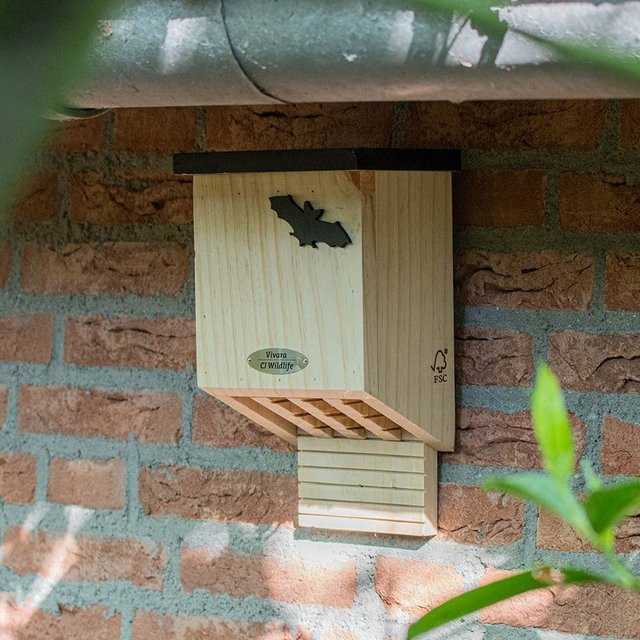 Fledermauskasten Falkenstein von CJ Wildlife in Braun und Schwarz aus Holz - Bild 1