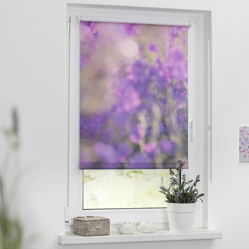 Lichtblick Rollo Klemmfix Blumenwiese Verdunkelung Fuchsia Violett B: 100 cm, H: 150 cm - Bild 2