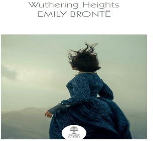 Sturmhöhe von Emily Brontë, Taschenbuch - Bild 1