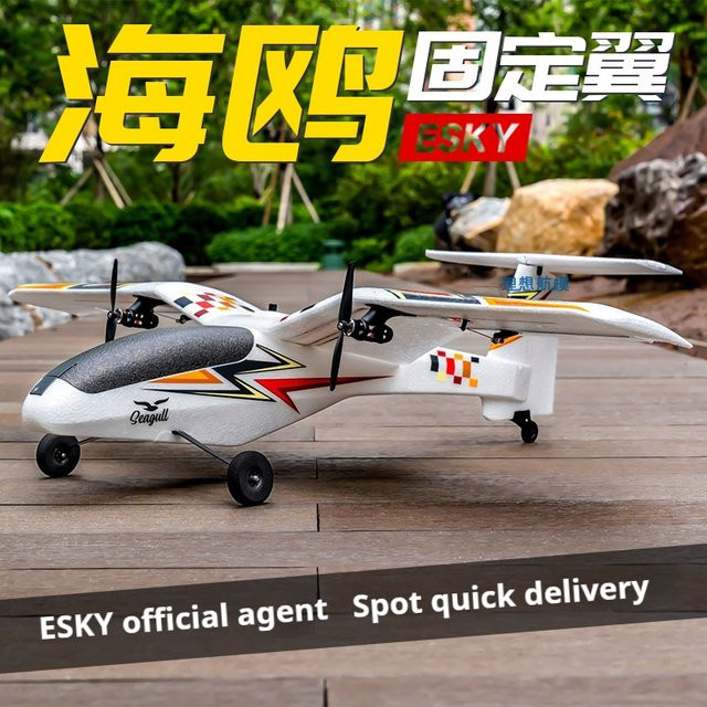 ESKY Seagull Modellflugzeug, doppelte bürstenlose Motoren, Fernbedienung - Bild 1