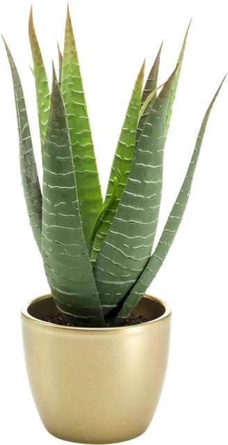 Künstliche Aloe Patricia von Aplanta, Sukkulente für den Tisch, Höhe: 30 cm - Bild 1