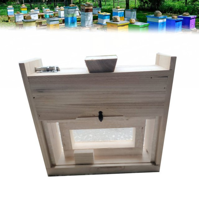 Interaktives Bienenstock-Beobachtungsset für Garten und Imkerei - Bild 1
