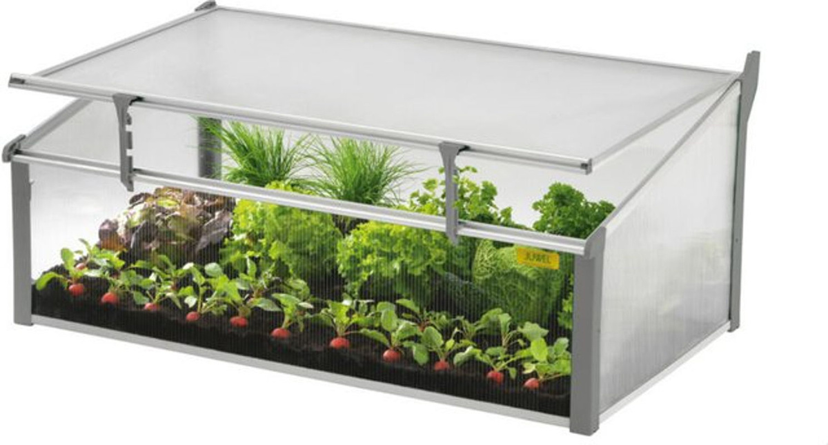 Juwel Frühbeet Gewächshaus Easy Fix mit Fensterfixierung aus transparentem Polycarbonat, B/T/H: 100 x 60 x 40 cm - Bild 2