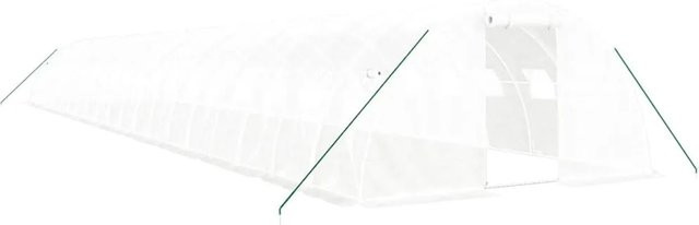 Furnicato Gewächshaus mit Stahlrahmen in Weiß, Fläche: 80 m², B: 20 m, T: 4 m, H: 2 m - Bild 1