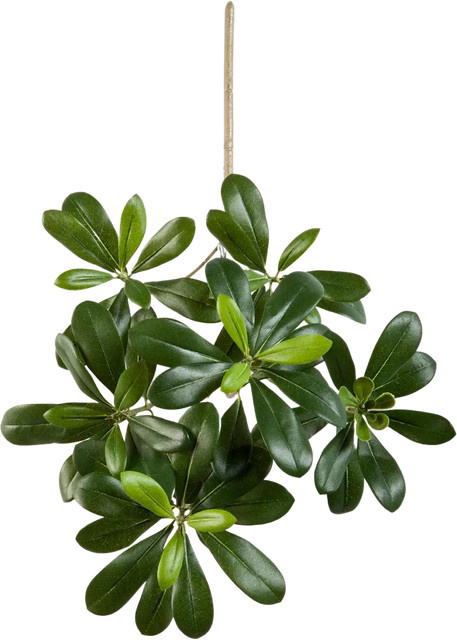 Künstlicher Pittosporum-Zweig Fritz von Aplanta, grün, Höhe: 40 cm - Bild 1