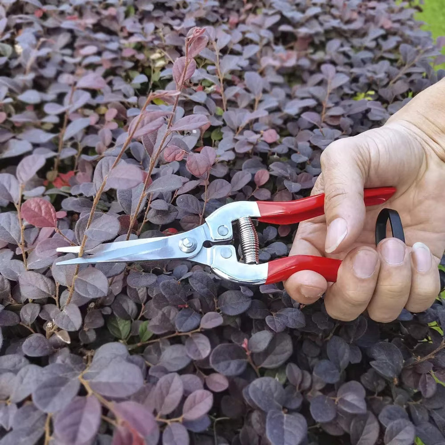 Skeyo Gartenschere Rot für Pflanzenschnitte und Floristen - Bild 3