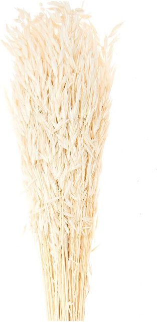 Rico Design Getrockneter Hafer natur 100g - Bild 1