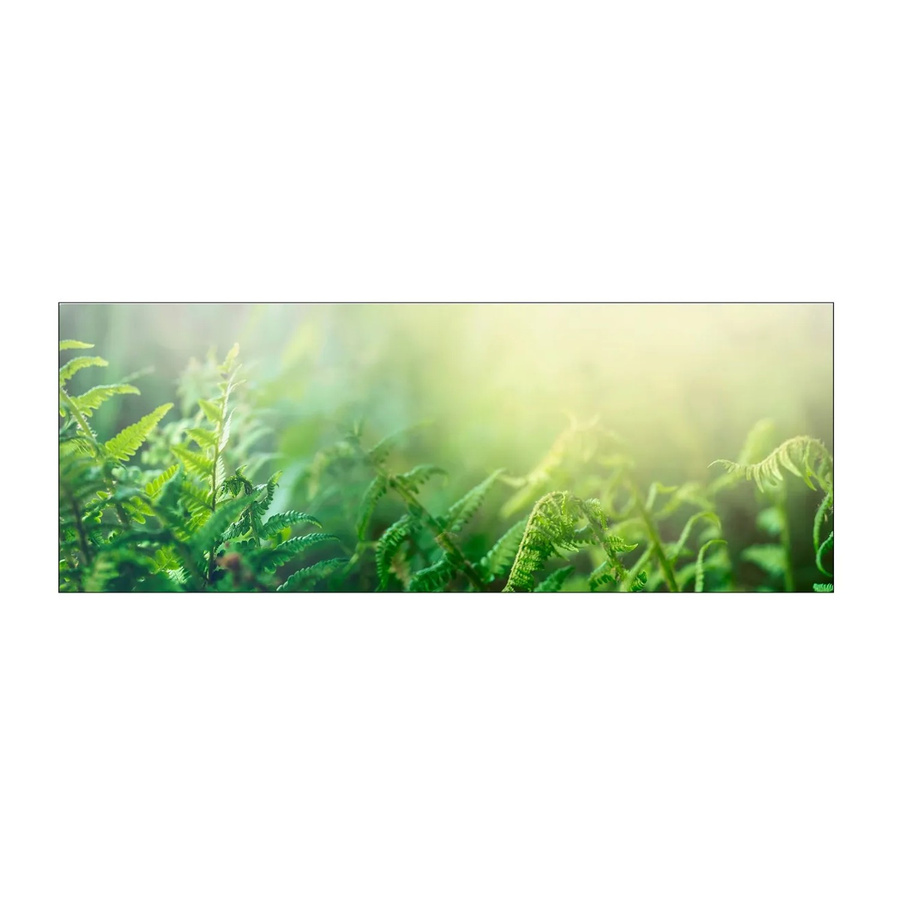 MySpotti Küchenrückwand Profix Cucina Farn in Farngrün aus Aluminium B/H: 160 x 60 cm - Bild 1