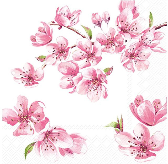 Serviette Sakura Rose in Pink aus Papier, B/H: 33,0 x 20,0 cm - Bild 1
