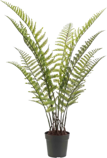 Künstliche Woodwardia Farn Pflanze Golo von Aplanta, Grün, Höhe: 90 cm - Bild 1