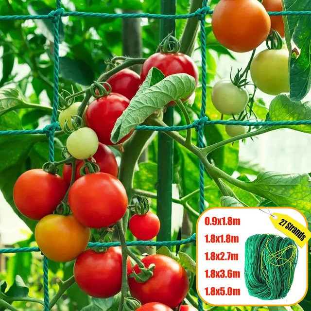 Grünes Pflanzenkletternetz aus Nylon für Gemüse und Obst, Heavy Duty Spaliernetz für Gurken, Tomaten und Trauben - Bild 1