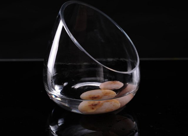 Kesoto Glasvase mit Schrägschnitt für Luftpflanzen und Terrarien, transparent, rund - Bild 1