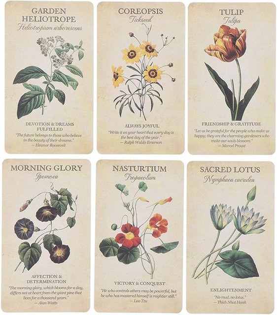 Fairy Expounds Botanische Blumen-Orakelkarte, Tarot, Brettspiel - Bild 1