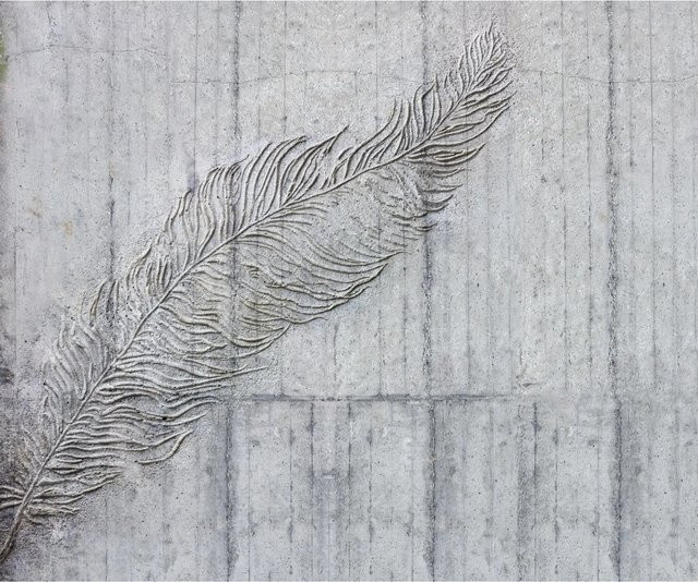 Komar Fototapete Vlies Betonfeder in Grau, B: 300 cm, H: 250 cm - Bild 1