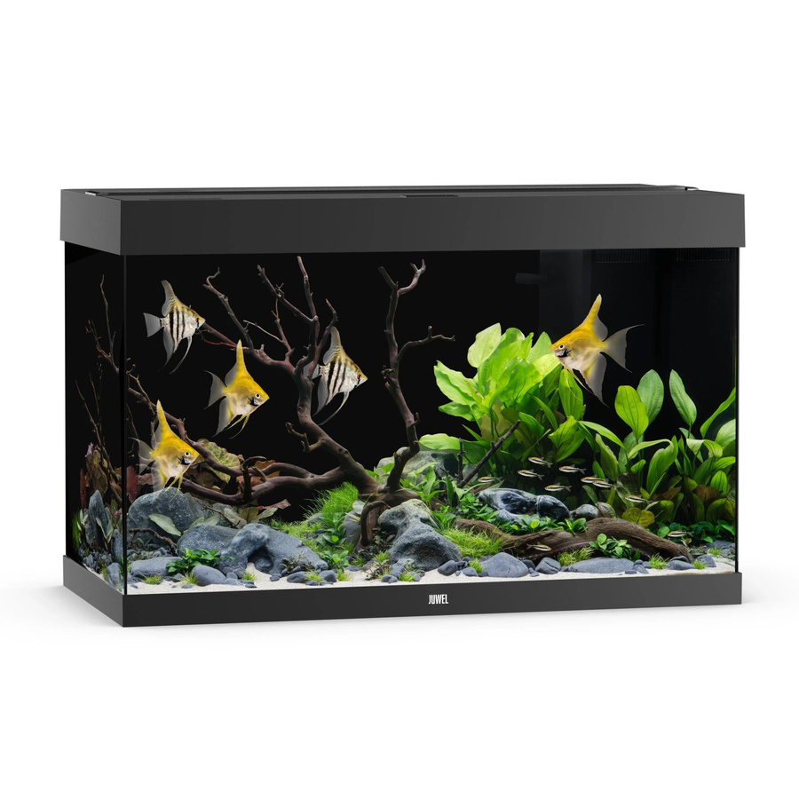 Juwel Aquarium Rio 290 LED Schwarz - Bild 2