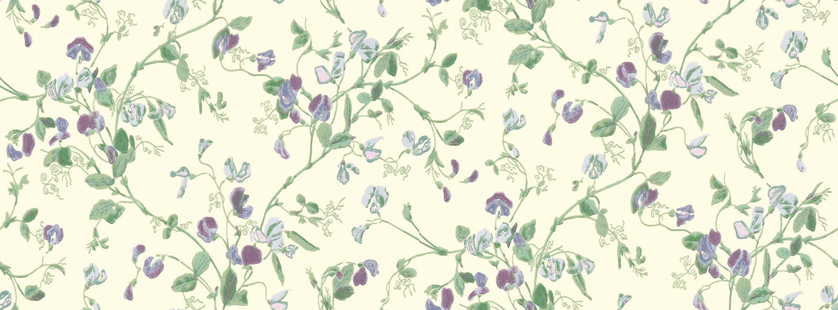 Cole & Son Tapete Sweet Pea Violet in Floral Botanical Design, Mehrfarbig (Lila, Gelb, Grün) - Bild 1
