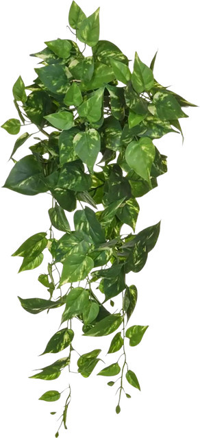 Künstliche Pflanze Aplanta Pothos Walter, Grün, Höhe: 80 cm - Bild 1