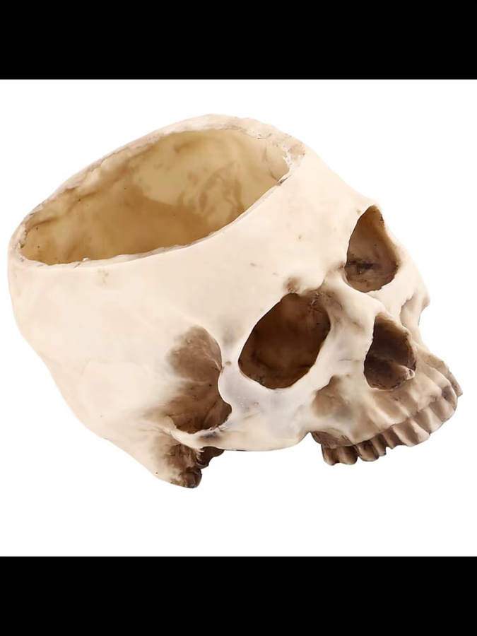 Fdit Blumentopf in Schädel-Design, beige, Tischdeko aus Kunststoff - Bild 5