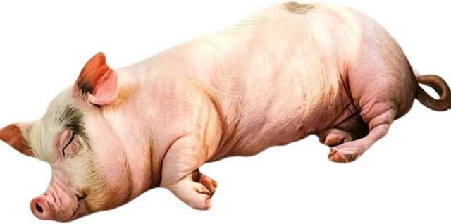Yiran Health & Beauty Rosa Schwein Plüschtier, Beige, ab 14 Jahren - Bild 1