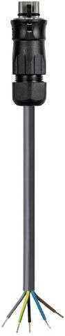 Wieland Electric Anschlussleitung Schwarz 96.854.3504.3 - Bild 1
