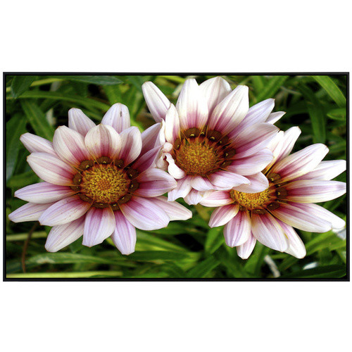 papermoon EcoHeat Infrarotheizung Afrikanische Gazania Blumen in Bunt mit Matt-Effekt, App-Steuerung und Überhitzungsschutz - Bild 2