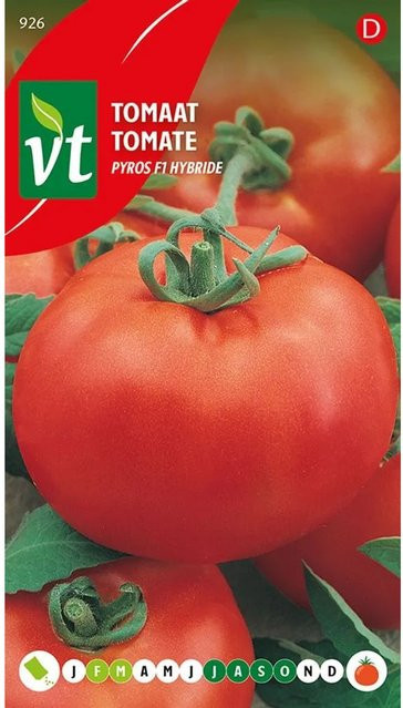 Arborix Tomate Pyros F1 Saatgut für Garten und Gewächshaus, 0,3 g - Bild 1