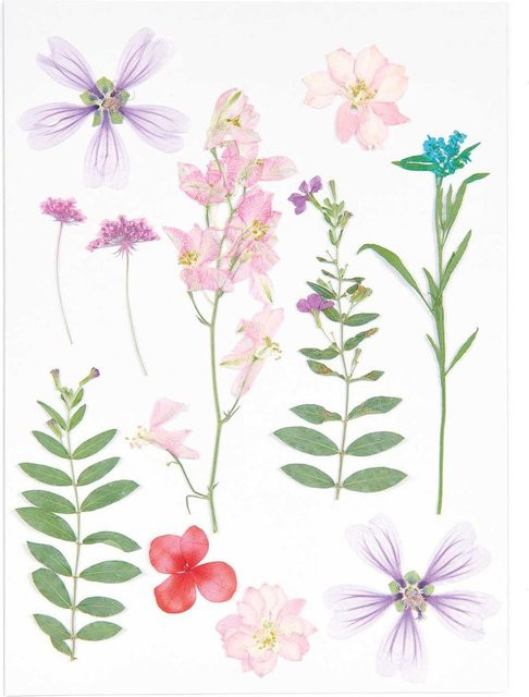 Rico Design Mix Set gepresste Blüten in Rosa und Violett aus Naturmaterialien mit 11 Stück - Bild 1