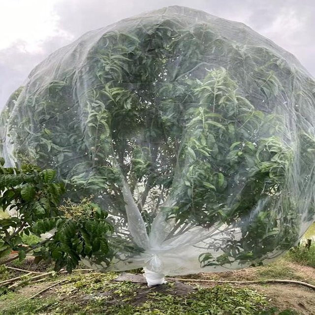 Ultrafeines Gartennetz mit 60 Mesh als Vogel- und Insektenbarriere für Blumen und Obstbäume, Breite: 1 bis 30 m - Bild 1
