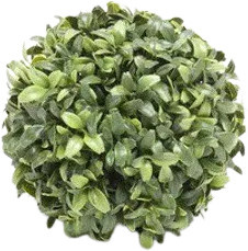 Künstliche Buchsbaumkugel von artplants in Grün, Durchmesser: 15 cm - Bild 1