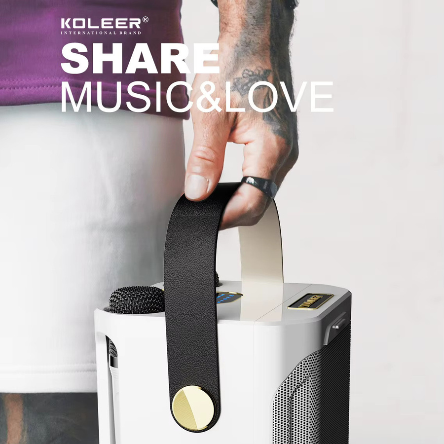 AyeBeau Tragbarer Bluetooth Karaoke-Lautsprecher mit Subwoofer und Mikrofon in Schwarz - Bild 3