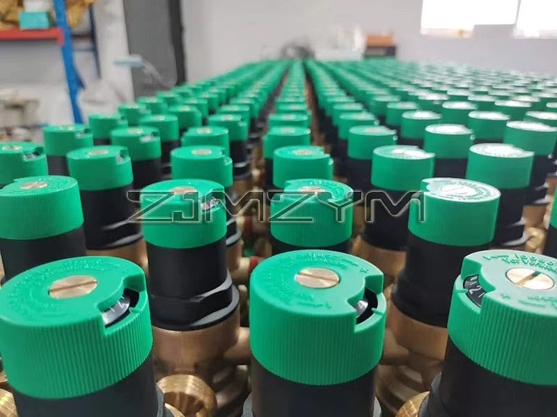 ZJMZYM Einstellbarer Wasser Druckminderer mit integriertem Filter und Messgerät als Vorfilter, DN15/DN20 - Bild 2