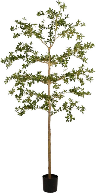 Künstlicher Olivenbaum Finja von artplants in Schwarz und Grün, Höhe: 210 cm - Bild 1
