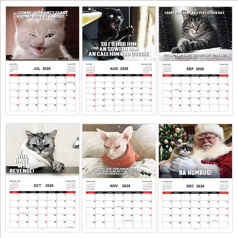 Wütender Katzenkalender 2026 für den täglichen Gebrauch mit Monatsübersicht, weiß und mehrfarbig - Bild 5