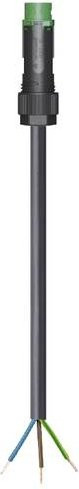 Wieland Electric 46.433.2036.7 Anschlussleitung in Schwarz - Bild 1