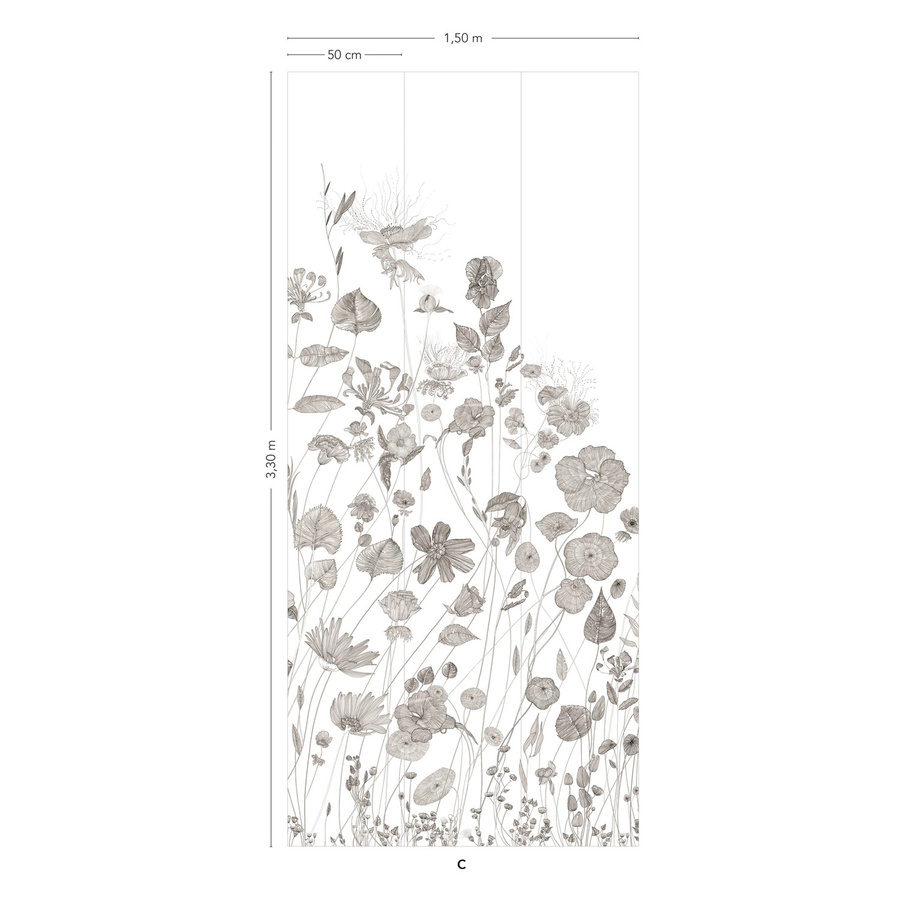 Isidore Leroy Mural Prairie C Wandtapete mit floralem und botanischem Design in Grau und Weiß, B: 330 cm, H: 150 cm - Bild 1