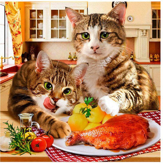 FIYO DIY Diamond Painting Katze Kreuzstich Stickerei in Braun und Multicolour, B/H: 30 x 30 cm - Bild 1