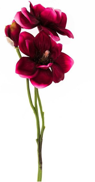 idee. Creativmarkt Künstlicher Anemonenzweig in Pink, Höhe: 41 cm - Bild 1