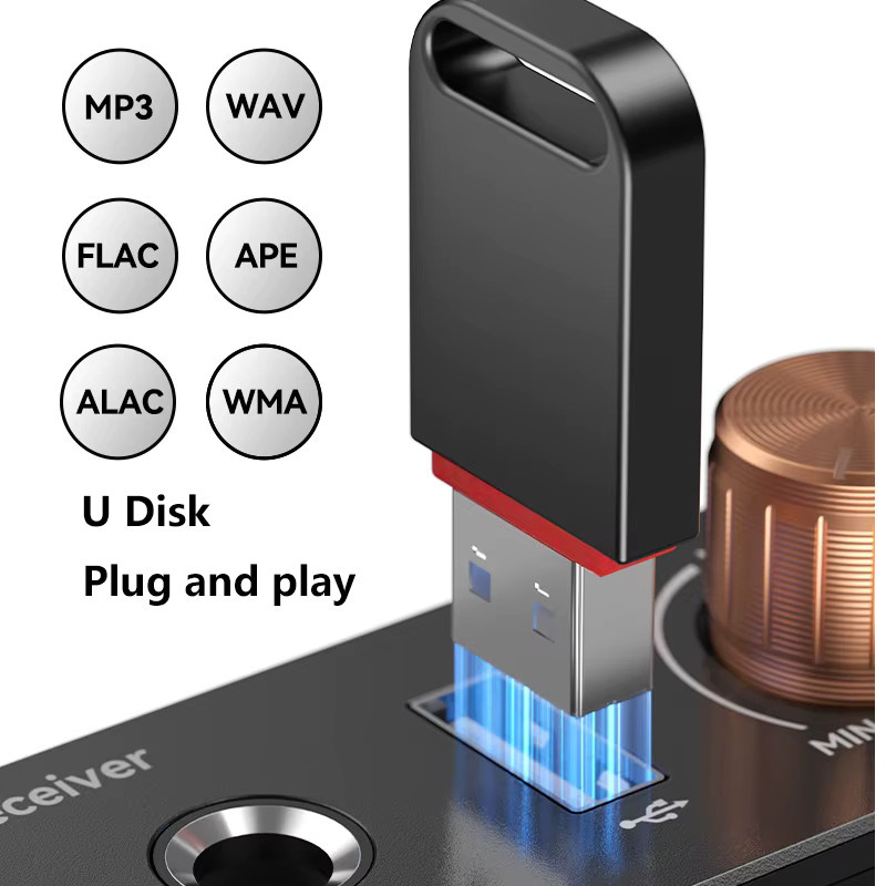kebidumei Bluetooth 6.0 Audio Receiver und Sender, Wireless Audio Adapter mit U-Disk und 6,5 mm Karaoke Anschluss, Drahtloser Musikverstärker für Lautsprecher und Auto, Schwarz - Bild 4