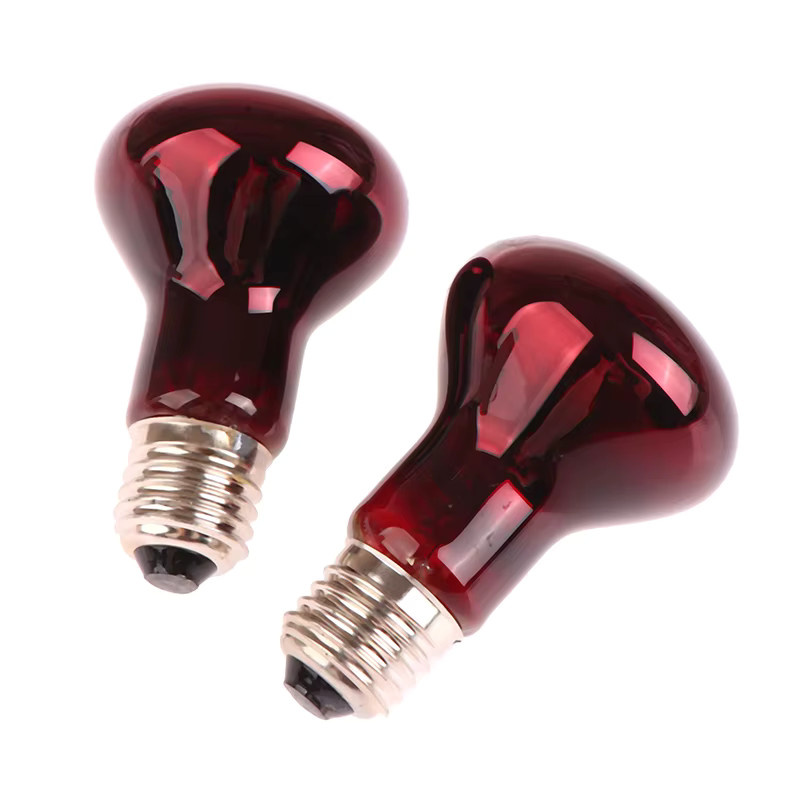 JETTING Rotlicht-Heizlampe E27 für Reptilien und Amphibien mit 50W - Bild 1
