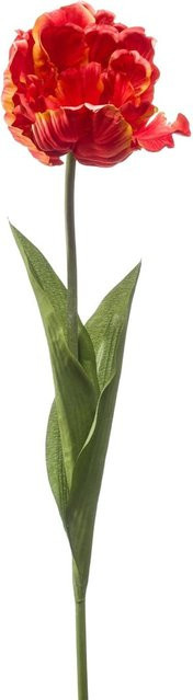 Künstliche Tulpe von Aplanta in Rot, Höhe: 66 cm, Breite: 6 cm - Bild 1