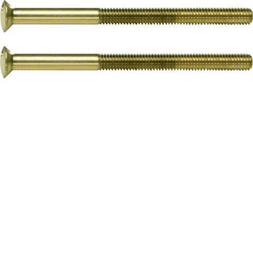 Hager Zweilochschraube WZA9092 in Gold - Bild 1
