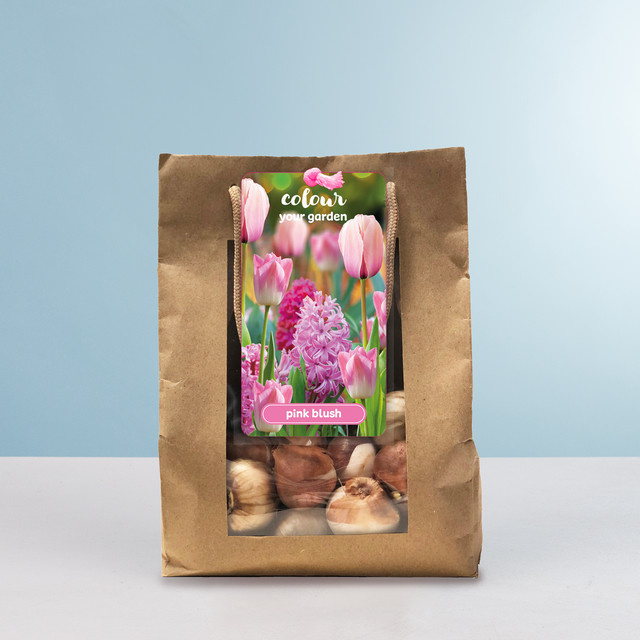 Tulpen und Hyazinthen Pink Blush Mix von BLUME2000 mit 10 Blumenzwiebeln - Bild 1
