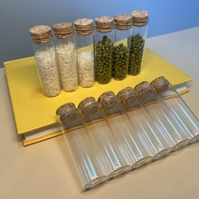 LYGIL Glasflaschen mit Korken, transparente kleine Fläschchen für Gastgeschenke und Hochzeiten, 15 ml - Bild 1