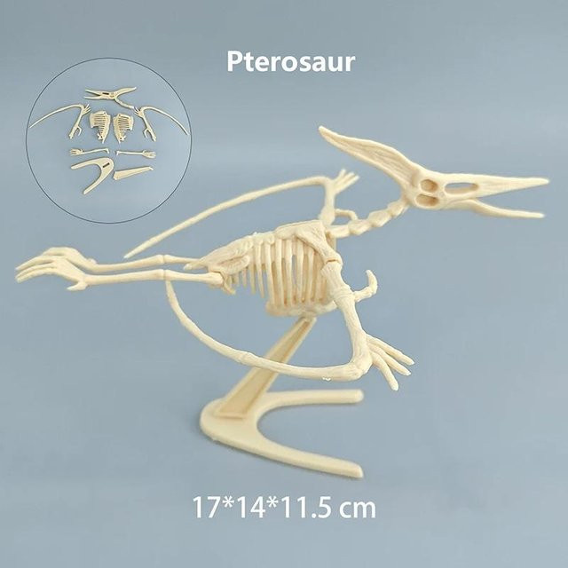 Discover Intime Jurassic Dinosaurier Fossil Skelett Mosasaurus Tyrannosaurus Actionfigur rot, 6-12 Jahre - Bild 1