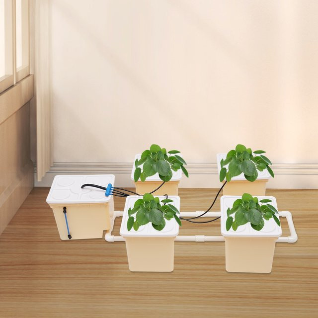 Bymaocar 4-Sites-DWC-Hydroponik-Anbausystem mit 4W-Pumpe und 5 Eimern in Gelb und Weiß für den Anbau von Kräutern, Gemüse und Blumen im Innenbereich - Bild 1