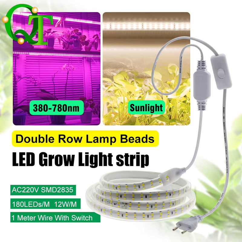 GRAXGROW LED-Pflanzenlichtstreifen mit zweireihigen SMD-Lampenperlen, 12 W/m, wasserdichter Grow Light für Gewächshäuser, Weiß - Bild 2