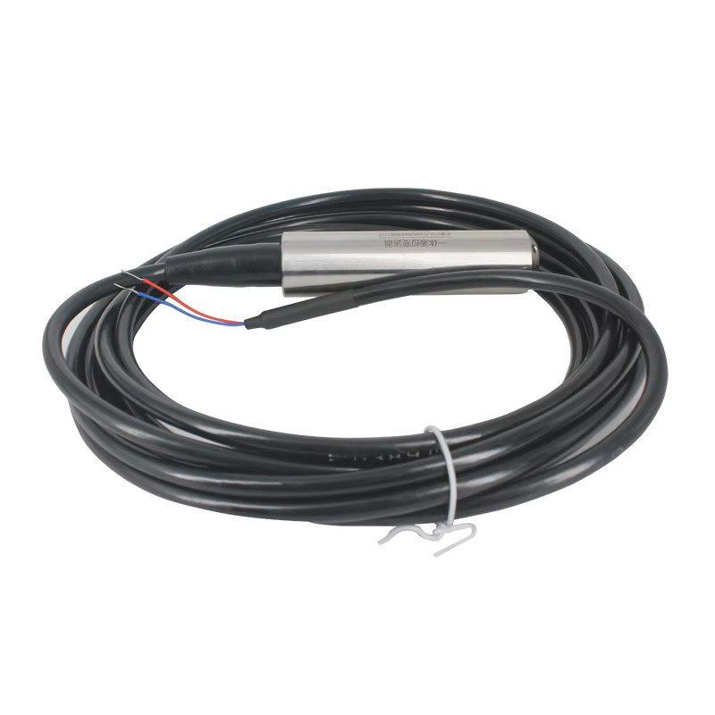 Tauchfähiger Wasserstandsensor XUYANGQIDIAN zur Flüssigkeitspegelmessung mit 4-20mA, 0-10V und RS485 in Silber - Bild 2